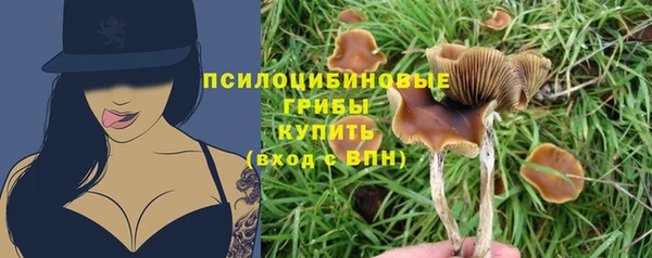 крисы Волосово