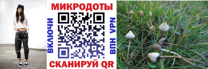 Псилоцибиновые грибы MAGIC MUSHROOMS  Саянск 